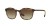 Vogue Sonnenbrille VO 5051S w656T5 Polarisierend in Havanna